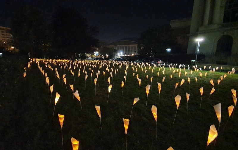 “Infografia inocenței” | În Piața Revoluției au fost “plantate” 1.166 de flori luminate, în memoria eroilor Revoluției