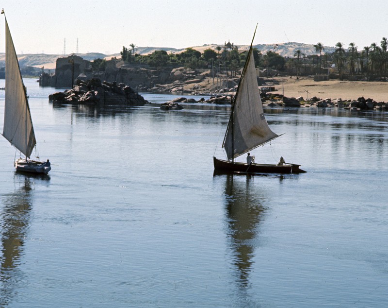 Povestea celor mai lungi fluvii din lume. De la Nil la Mississippi și de la Amazon la Yangtze