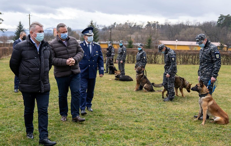 Câinii antrenați să depisteze persoanele cu COVID-19 vor fi folosiți pe aeroportul din Sibiu, anunță ministrul de interne