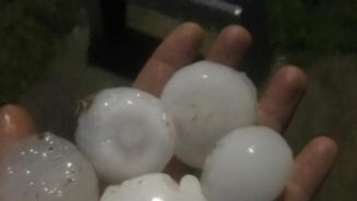 Furtuni violente în Bihor