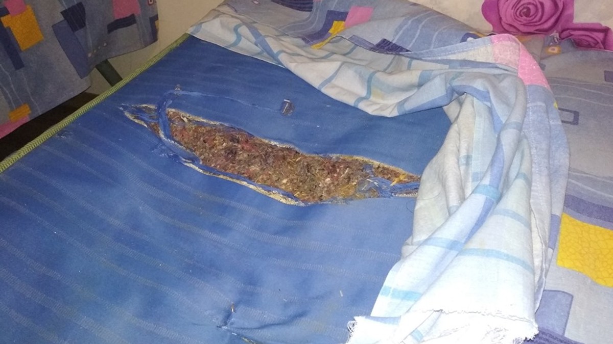 Arhiva foto
