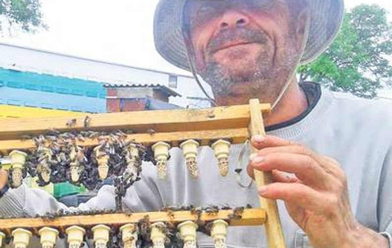 Faceţi-vă rezerve de MIERE! Pesticidele au ucis albinele, iar PRODUCȚIA E COMPROMISĂ