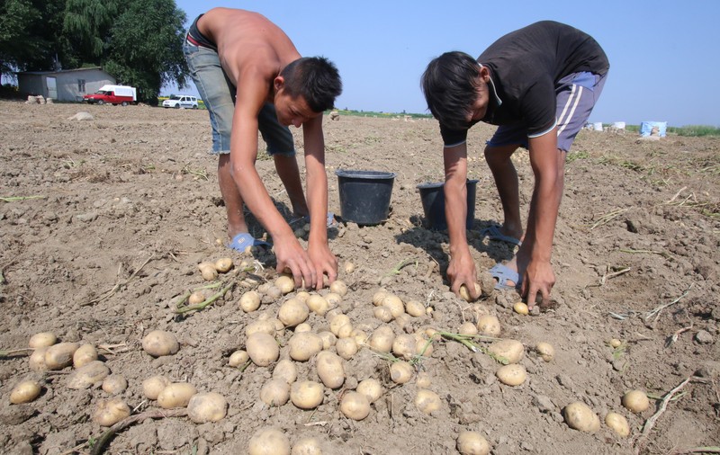 ”Strategia de Dezvoltare Durabilă a României 2013-20120-2030”:  73% din terenurile agricole ale României au ”obosit”!