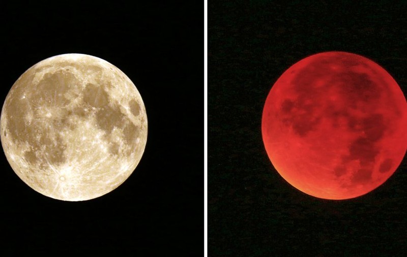 Eclipsă şi Super Lună, în aceeaşi noapte! Cum s-a văzut fenomenul astronomic | FOTO