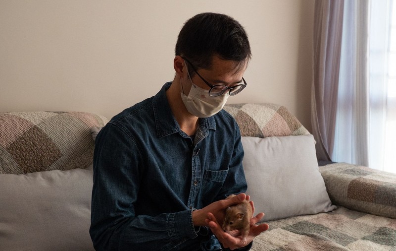 Operațiune clandestină în Hong Kong pentru salvarea celor 2.000 de hamsteri pe care autoritățile vor să-i sacrifice