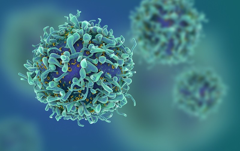STUDIU: Unele celule canceroase devin „canibale” pentru a rezista în timpul chimioterapiei
