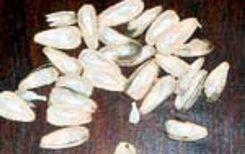 Au decojit doua kilograme de seminte cautand drogul