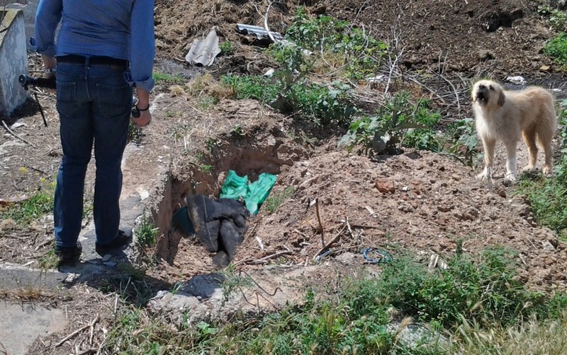 Groapa în care a fost ascuns cadavrul | Foto: vremeanoua.ro