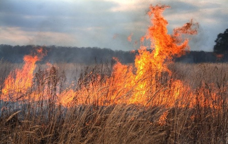Incendiu de vegetație la ieșirea din Aiud către Teiuș. Un utilaj agricol a luat foc, iar flăcările s-au extins pe un hectar