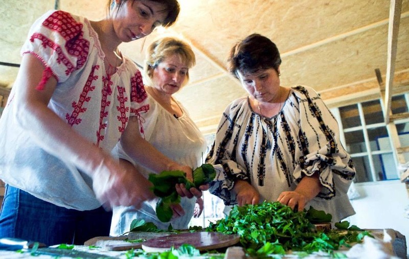 Drumul de la frunza de dud la ie. Povestea de succes cu fir de borangic a ultimei familii din România care păstrează tradiția creșterii viermilor de mătase