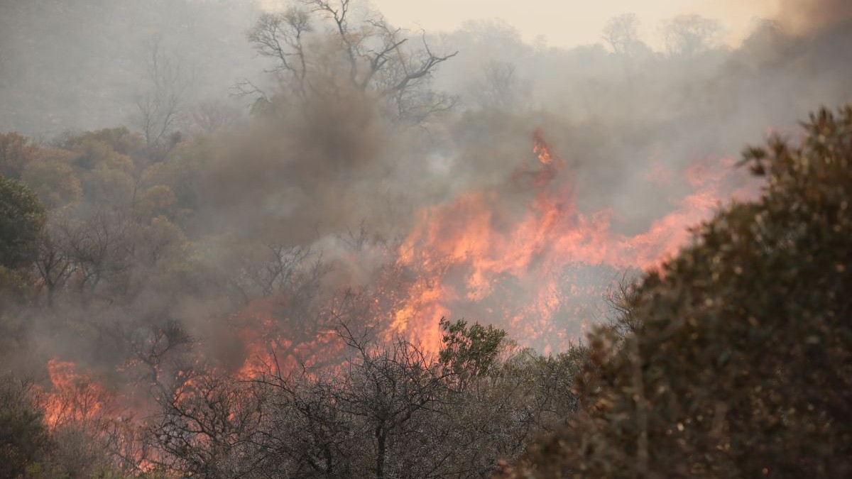 Bărbat decedat într-un incendiu într-o zonă greu accesibilă Foto: Hepta