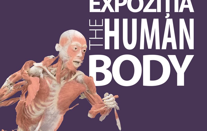 Reduceri pentru familii la expoziția “THE HUMAN BODY” în zilele de marți