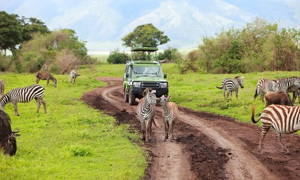Safari, Tanzania. Foto: 123rf