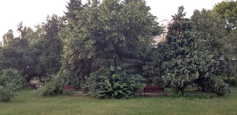 EROII SANITARI - parcul de lângă UMF Carol Davila, loc care arată decent, dedicat studenților