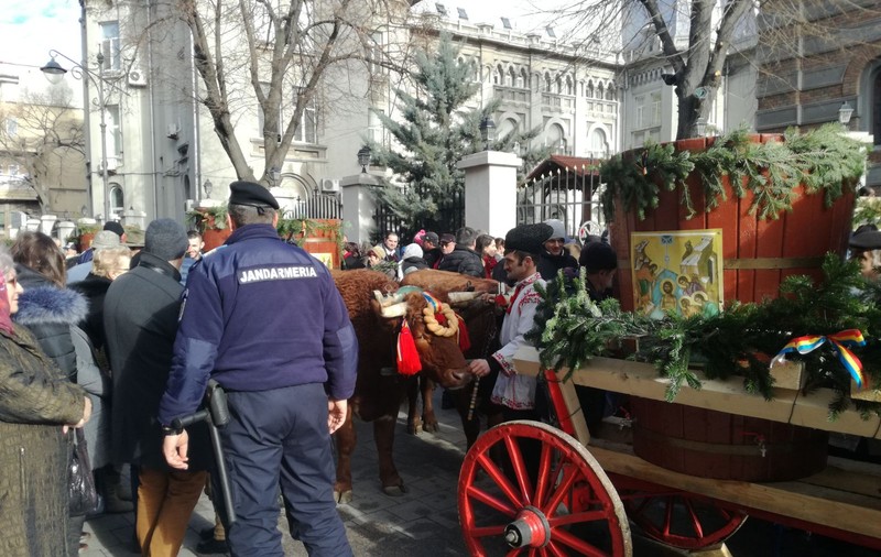 VIDEO: Peste 10.000 de oameni s-au călcat în picioare pentru agheasmă, la Constanța. În loc de gerul Bobotezei, o vreme de primăvară