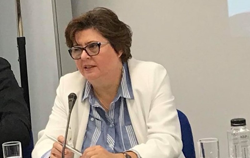 Alina Mungiu Pippidi, despre protestul din 10 august: "Această mahala nu reprezintă diaspora!"