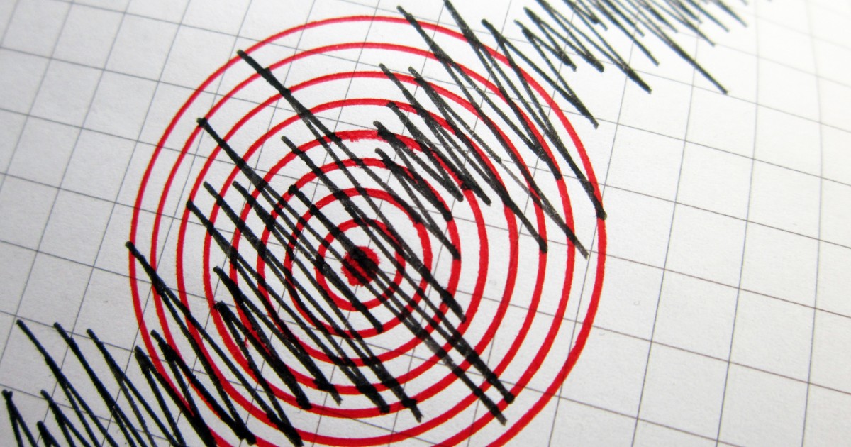 Grafic cutremur. Imagine cu caracter ilustrativ Foto: Shutterstock