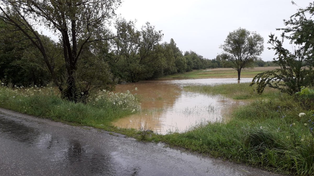 Un copil a căzut dintr-o căruță într-un pârâu umflat de ploi, din Făgăraș