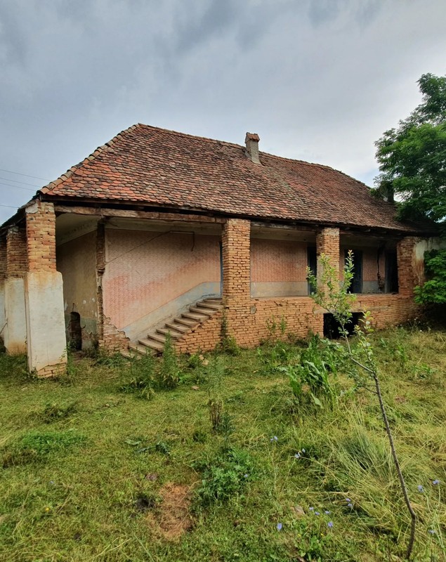 Imagini noi cu casa pe care o renovează Dana Rogoz la Viscri. Lucrările la locuința săsească au avansat