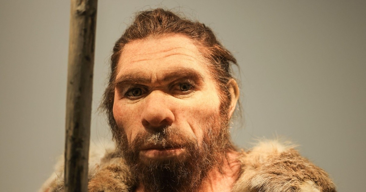 O replică a omului de Neanderthal poate fi văzută în LVR-LandesMuseum Bonn