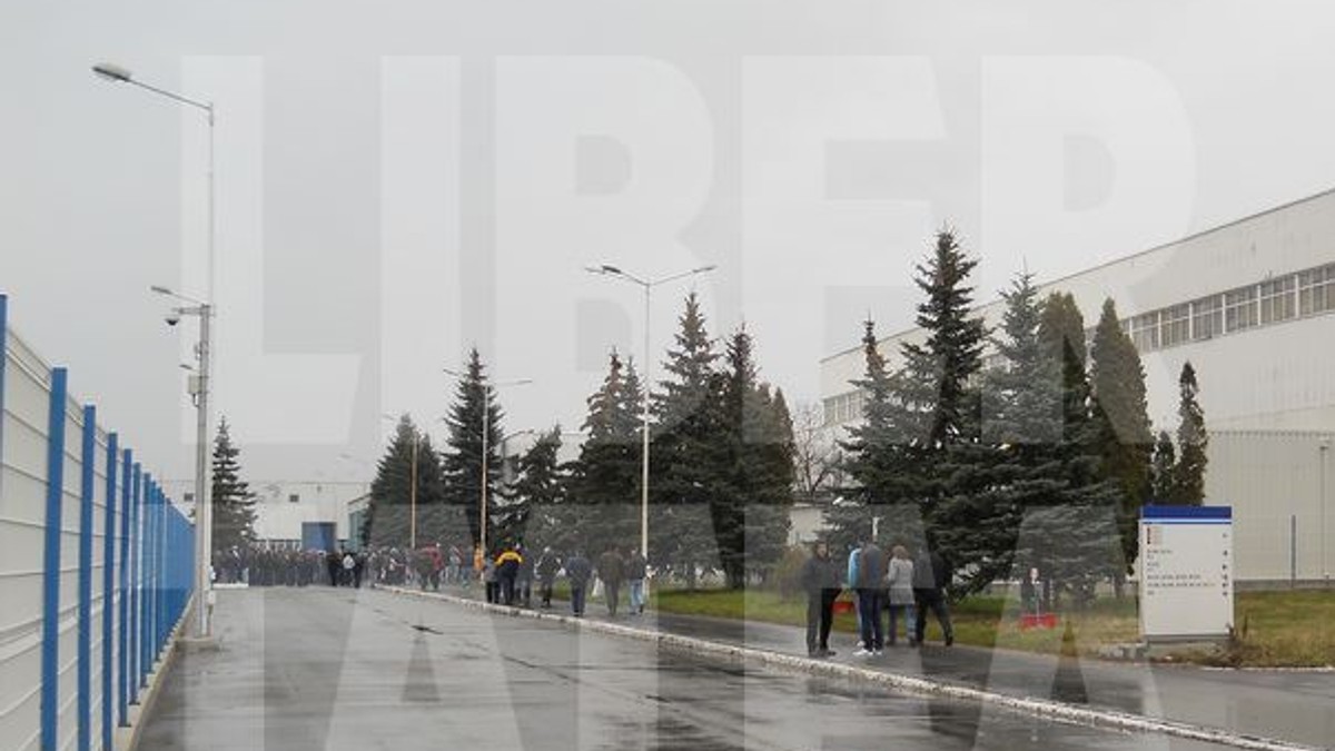 Arhiva foto