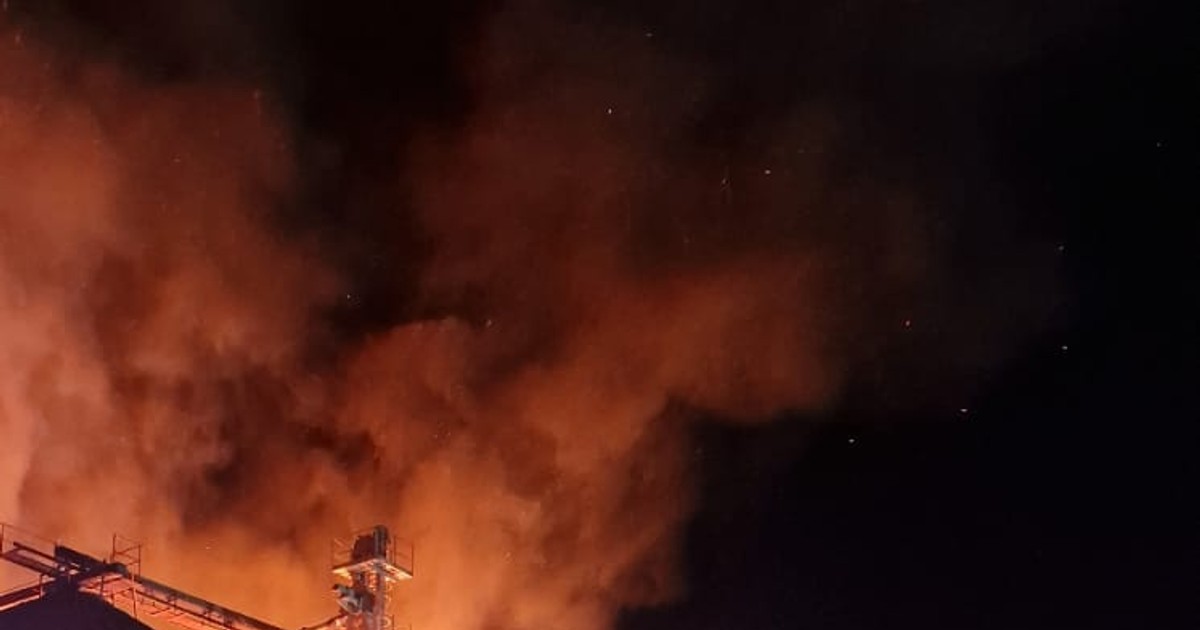 Arhiva foto