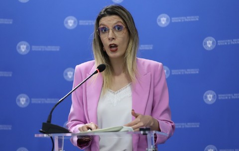 diana-buzoianu, ministrul mediului, la o conferinta de presă