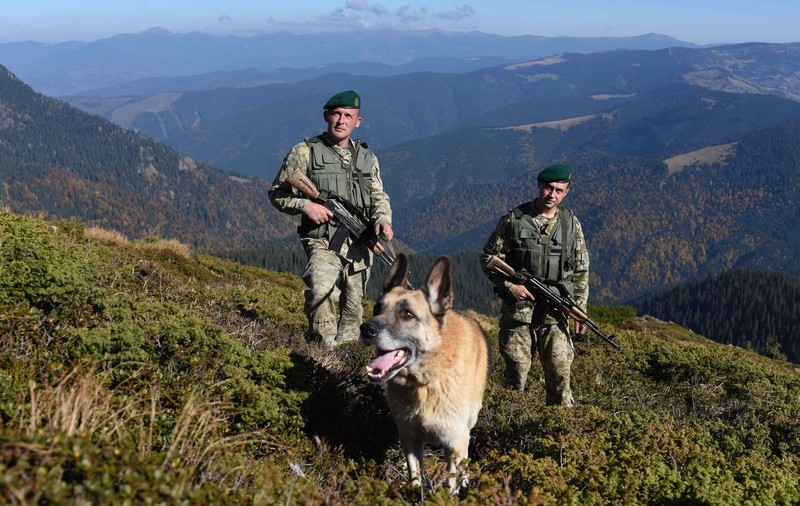 39 de ucraineni au murit în România, fugind de război. Reportaj cutremurător realizat de Bild în Munții Maramureșului