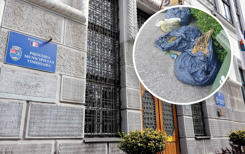Controversele din jurul unei hotărâri care îi obligă pe timișoreni să tundă iarba de pe domeniul public. Până unde a mers excesul de zel al unei funcționare