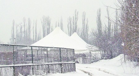 Arhiva foto