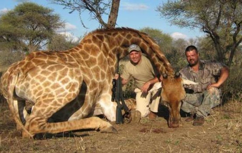 ”Mămălicki” Stoickov, executat public de bulgarii săi, după ce a omorât animale în Africa: ”Ești un barbar!”