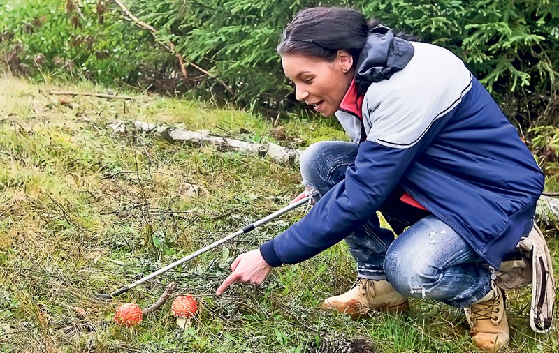 Agenţia Antidrog avertizează că, mai nou, plantele cu efect hipnotic pot fi culese chiar și din păduri