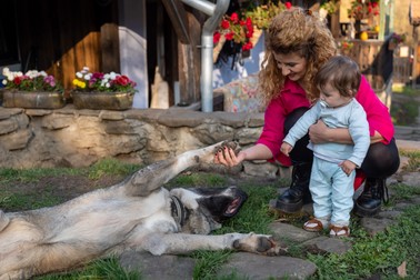 Câinele Butuc se joacă în curtea casei cu mama lui Zian