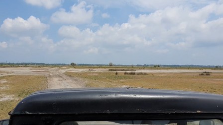 Arhiva foto