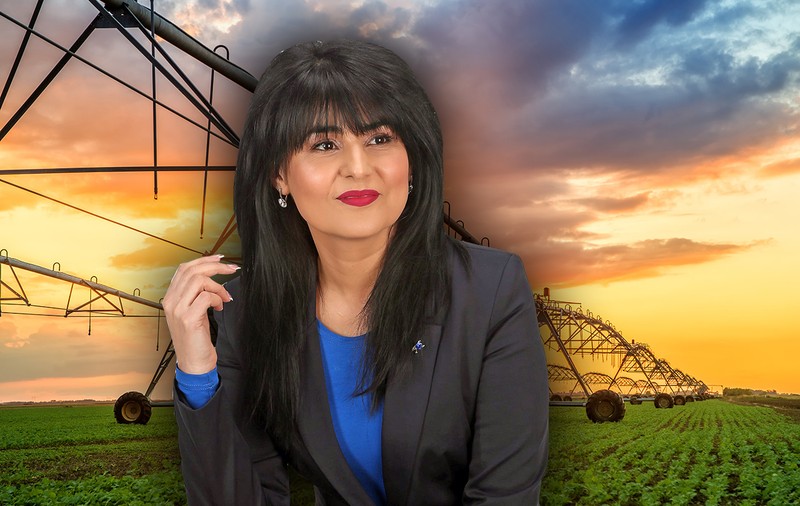 Jurista de la irigații. Șefa organizației de femei PMP Galați conduce Agenția de Îmbunătățiri Funciare din județ, deși n-are studii în domeniu, nici experiență