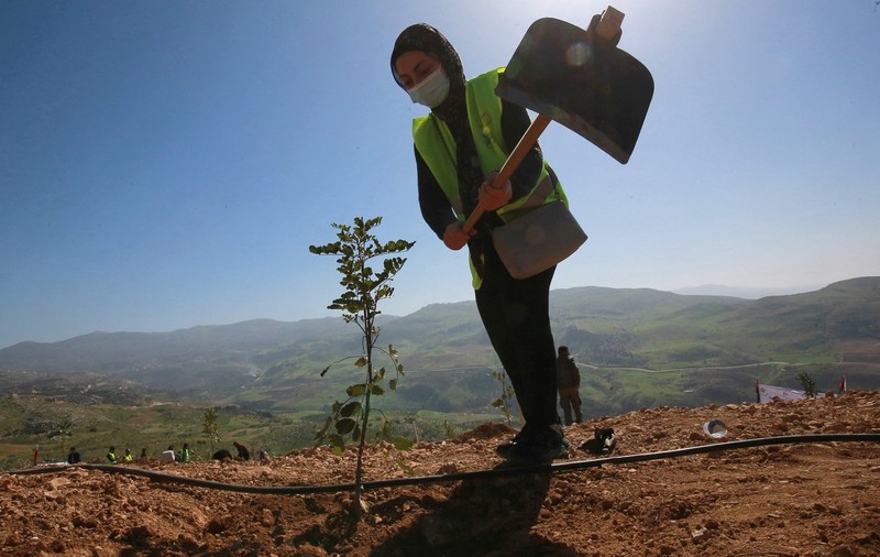 Proiectul încurajator prin care o tânără arhitectă a reușit să crească o pădure în capitala Iordaniei, țară aflată în plin deșert