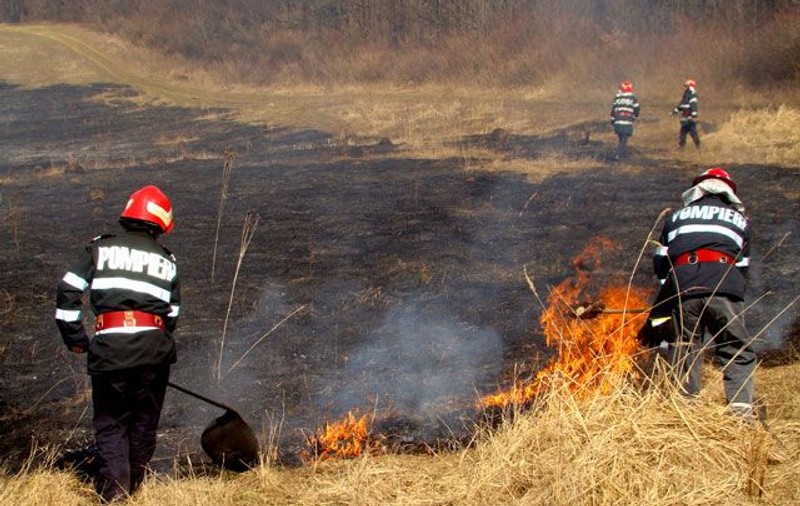 Incendiu puternic de vegetație în Galați. De la ce au izbucnit flăcările