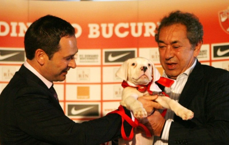 Nicolae Badea s-ar putea întoarce la Dinamo. Vine și cu alți investitori după el. Pe cine vrea să numească manager