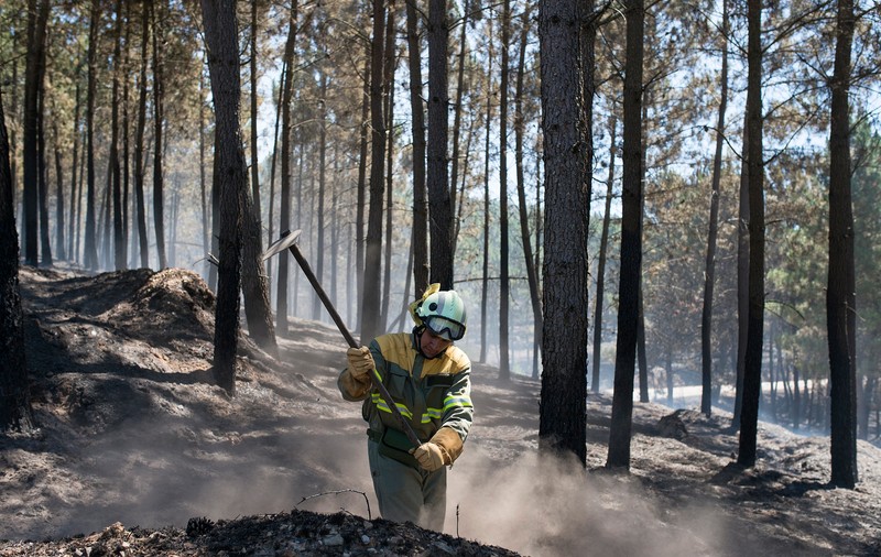Incendii puternice de vegetație în sudul Spaniei. Avertisment MAE: Coduri roșii de caniculă în Europa | FOTO & VIDEO