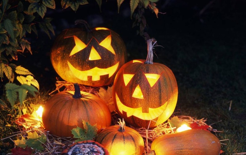 Halloween 2015 | Învaţă să faci "Dovleacul felinar", în cinci paşi simpli | FOTO