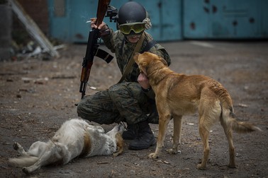 18 mai 2022, Ucraina, Barvinkove: Un soldat alături de câinii vagabonzi pe o stradă din Barvinkove. Foto: Hepta