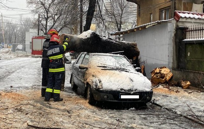 Haos în București, după prima ninsoare din an: mașini avariate, un stâlp de electricitate căzut și copaci prăbușiți