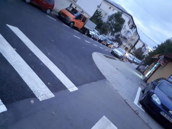 Două zebre ”nărăvașe” pe străzile din Focșani