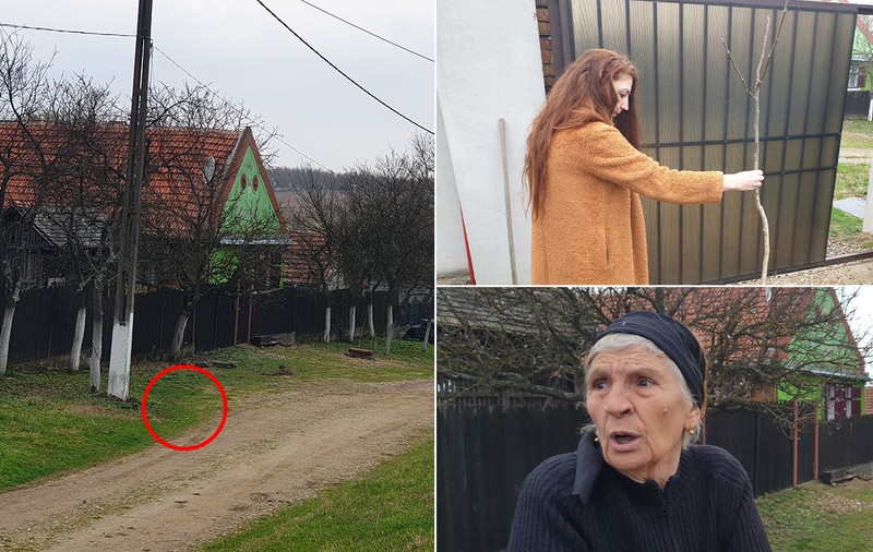 Reportaj. Prunul care a stricat liniștea unui sat idilic: „M-au amenințat că-mi incendiază casa”