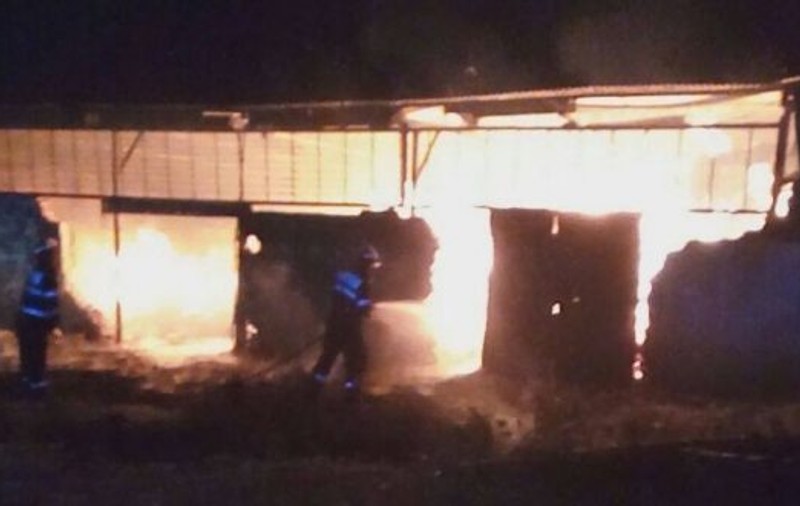 Incendiu la un depozit de deşeuri din Argeș! Tone de rumeguş ard mocnit