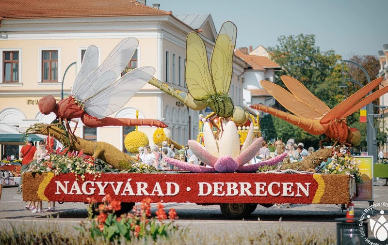 Patru care alegorice ajung de la Debrețin la Oradea de Zilele Culturii Maghiare