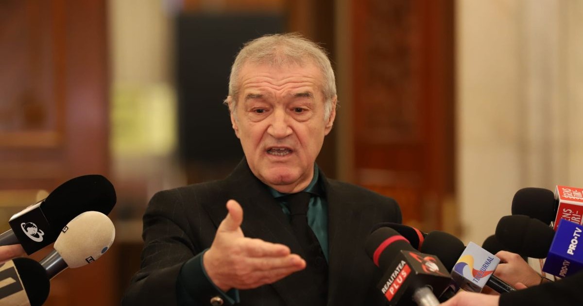 Gigi Becali, la Palatul Parlamentului, discută cu presa