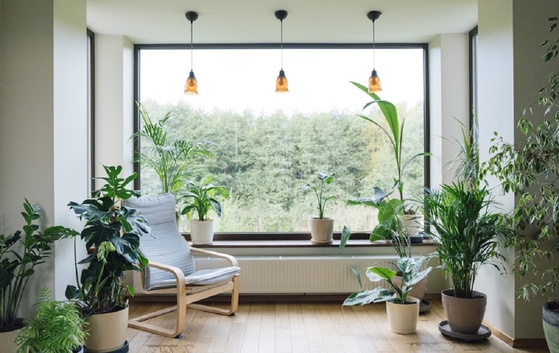Urban Jungle: adaugă „viață” în designul interior