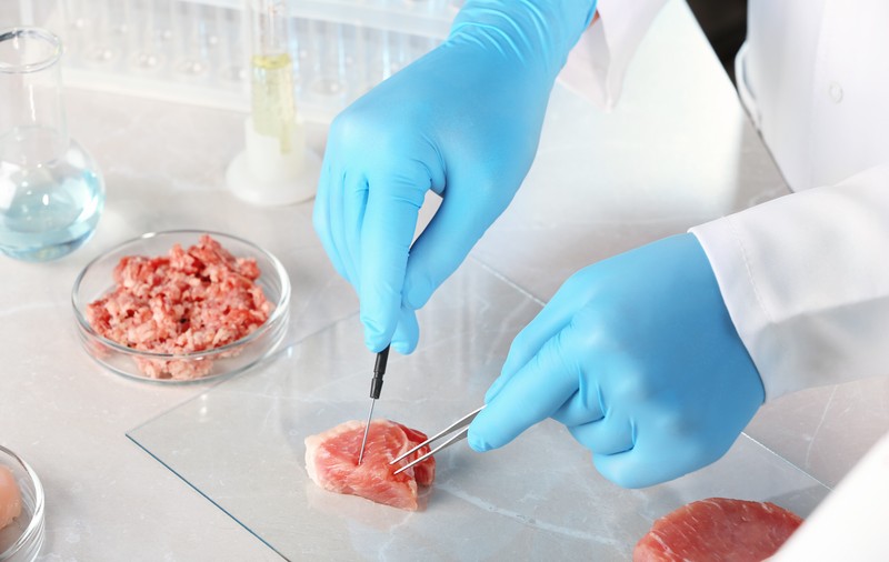 Carnea artificială nu va salva planeta. Un studiu arată că producerea acesteia este de 25 de ori mai poluantă