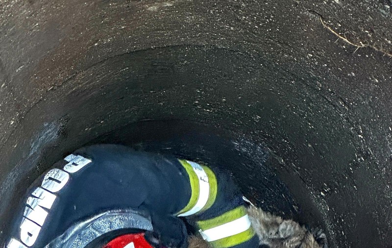 Pompierii din Zărnești, județul Brașov, au salvat un cățel care a căzut într-o fântână adâncă: „Suntem aici pentru orice viață care are nevoie de ajutor”